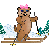 a bear on skis